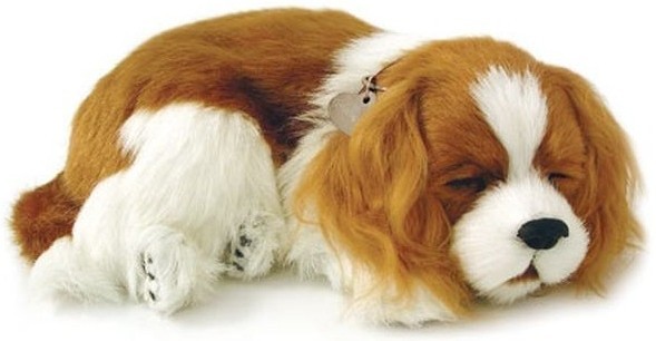 Perfect Petzzz soft Cavalier King Charles (96309)